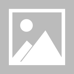 球速体育官网-半场好球+金靴破荒 意大利开启“重返世界杯”之路