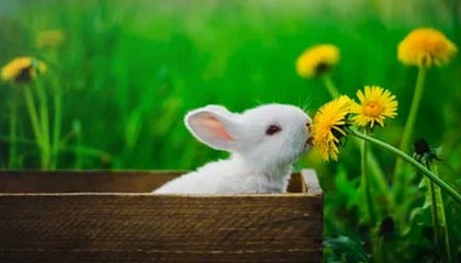 球速体育app-【欧冠】吉鲁大四喜 切尔西4比0塞维利亚锁小组头名